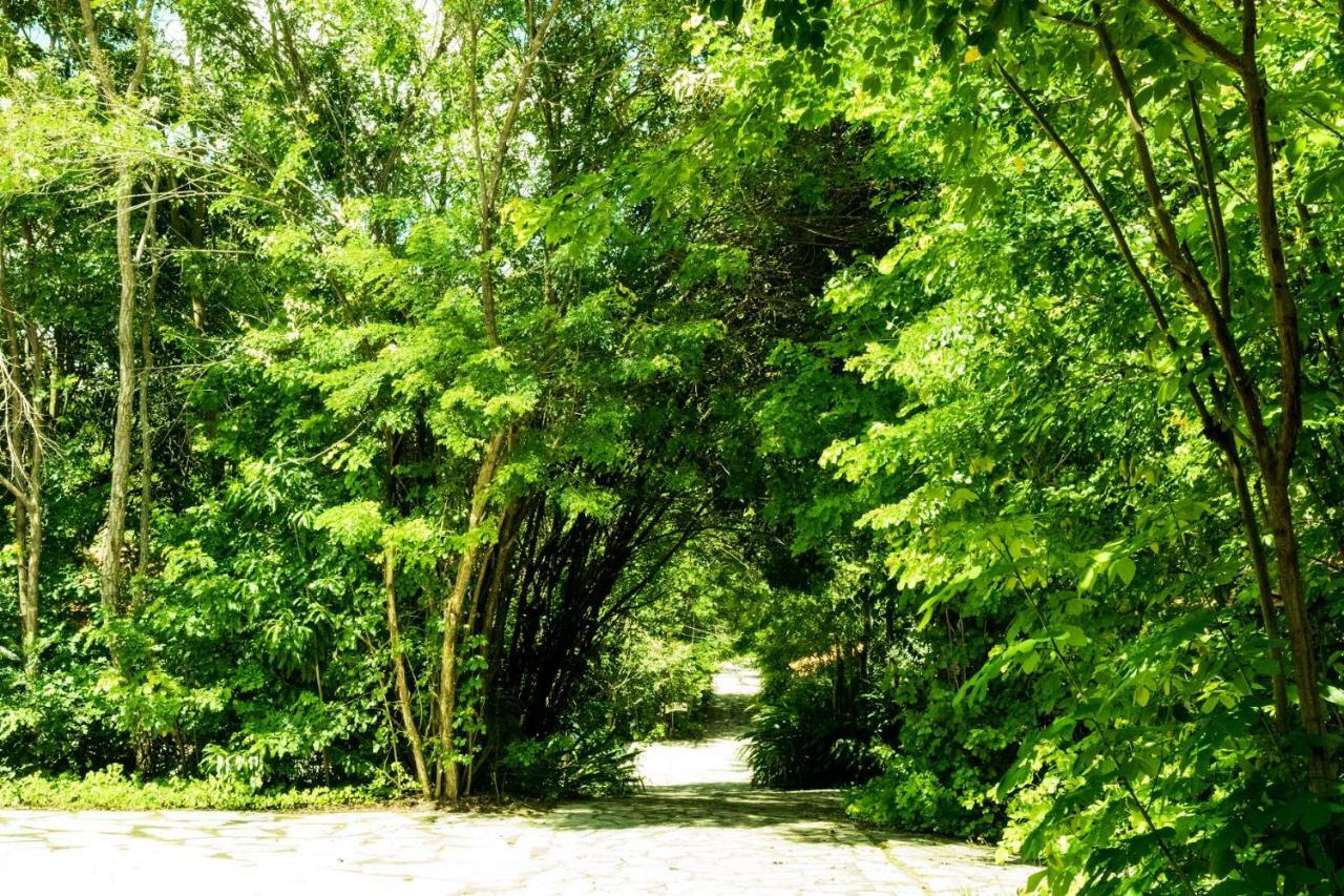 Pousada Villa Das Pedras Піренополіс Екстер'єр фото